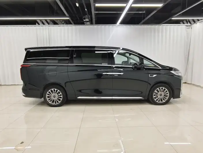 Wey Gaoshan P HEV 2023 Model 4WD Executive Extended Edition – фото 8