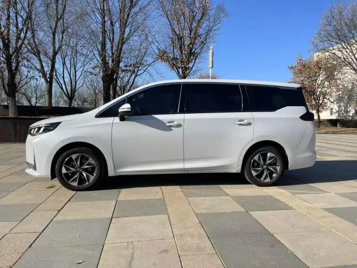 GAC Trumpchi M6 2023 Model PRO 270T WDCT Deluxe Edition – фото 4