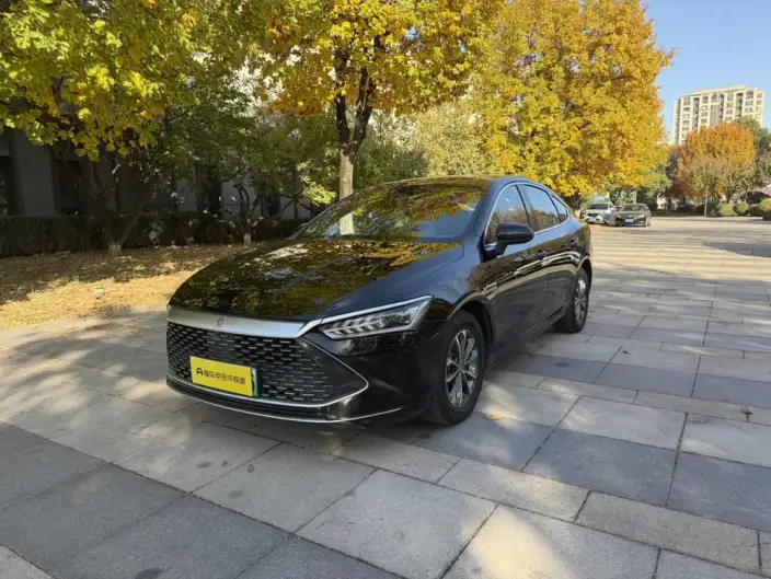 BYD Qin PLUS DM 2024 Model Honor Edition DM-i 55KM Leading Model – фото 1