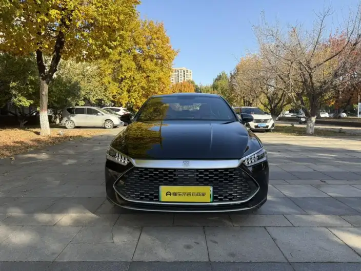 BYD Qin PLUS DM 2024 Model Honor Edition DM-i 55KM Leading Model – фото 2