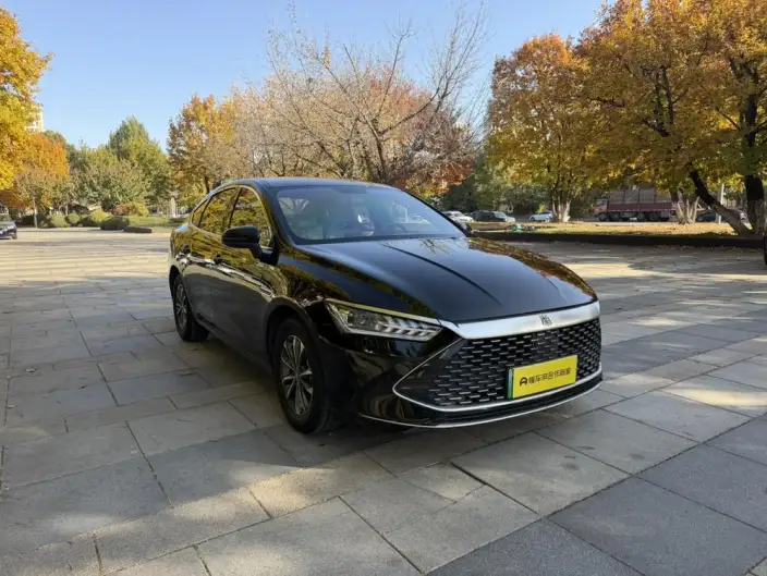 BYD Qin PLUS DM 2024 Model Honor Edition DM-i 55KM Leading Model – фото 3