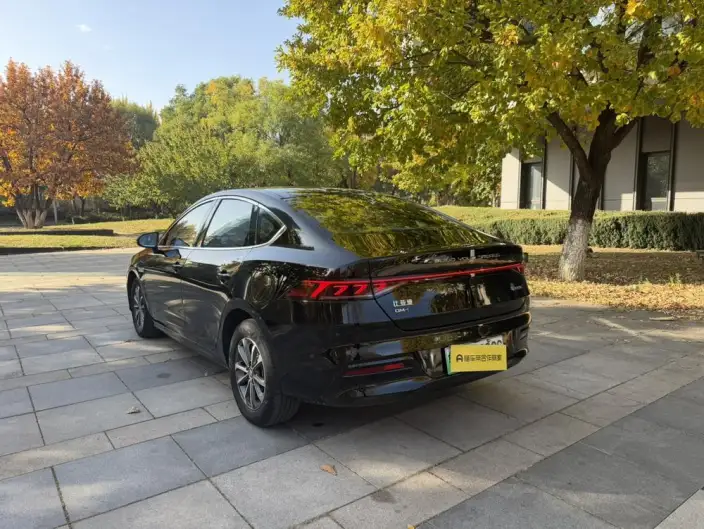 BYD Qin PLUS DM 2024 Model Honor Edition DM-i 55KM Leading Model – фото 4