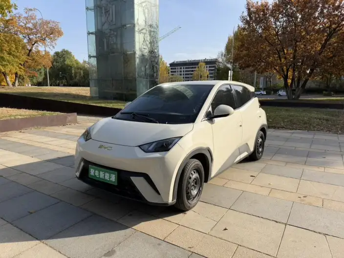 BYD Seagull 2025 Model 305KM Vitality Edition – фото 1
