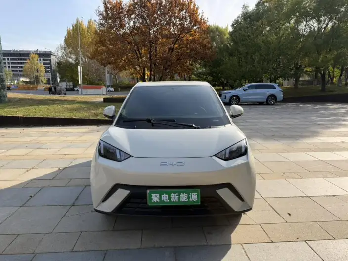 BYD Seagull 2025 Model 305KM Vitality Edition – фото 2