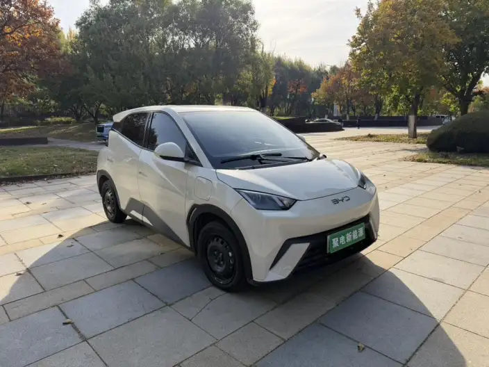 BYD Seagull 2025 Model 305KM Vitality Edition – фото 3