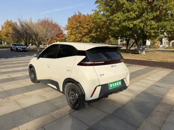 BYD Seagull 2025 Model 305KM Vitality Edition – фото 4