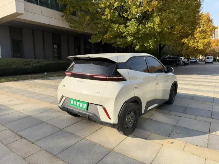 BYD Seagull 2025 Model 305KM Vitality Edition – фото 6