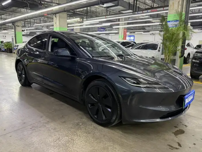 Model 3 2025 Model Facelift Rear-wheel drive version – фото 3