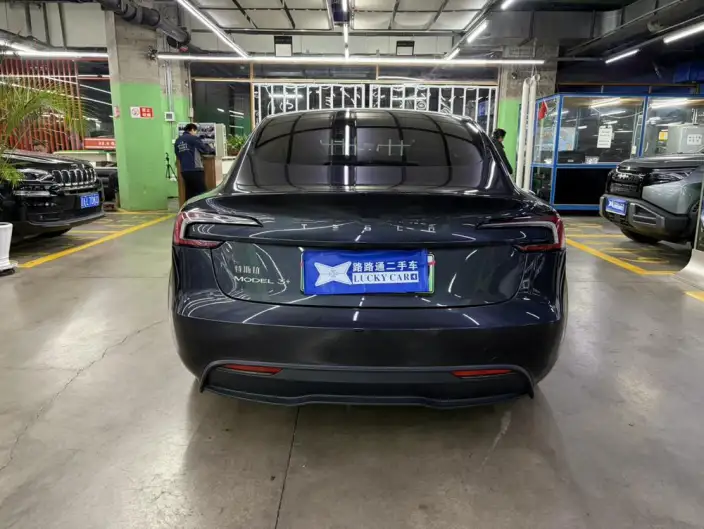 Model 3 2025 Model Facelift Rear-wheel drive version – фото 5