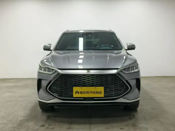 BYD Song PLUS DM 2021 Model DM-i 51KM 2WD Zunrong Model – фото 2