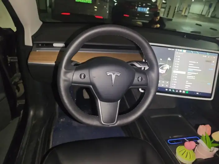Model 3 2022 Model Rear-wheel drive version – фото 7