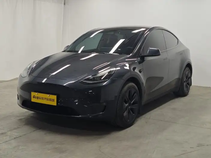 Model Y 2024 Model Long Battery Life Pro All-wheel drive version – фото 1