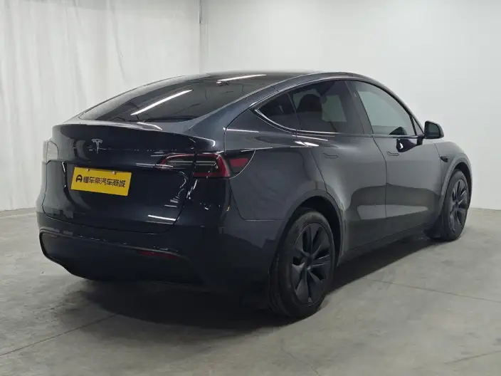 Model Y 2024 Model Long Battery Life Pro All-wheel drive version – фото 7