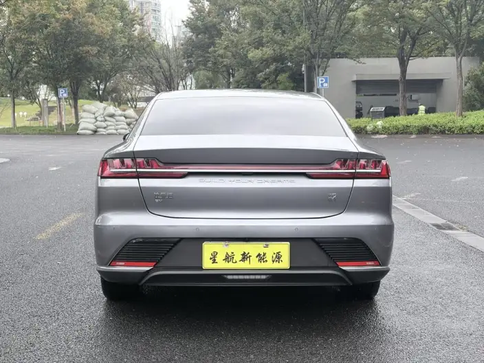 BYD Han EV 2021 Model Standard battery life version Luxury Model – фото 6