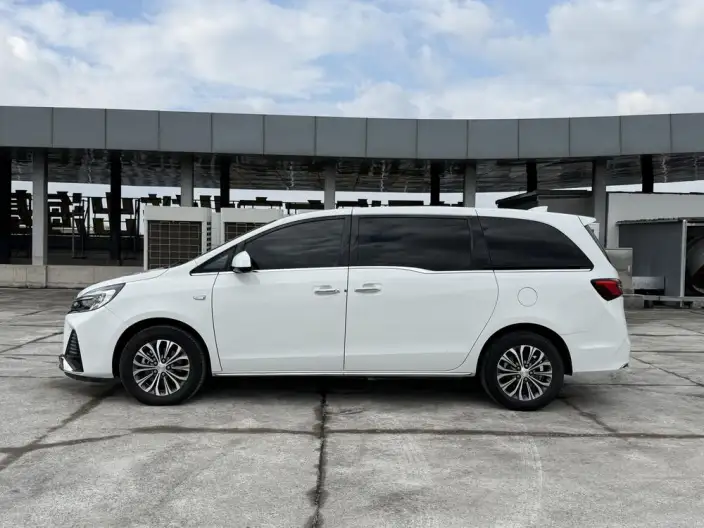 Buick GL8 2023 Model Business class 2.0T Luxury Model – фото 3