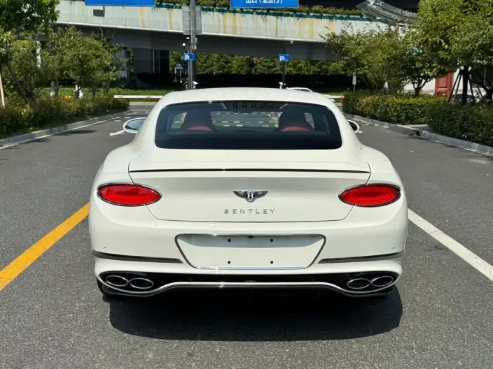 Continental 2024 Model 4.0T GT V8 – фото 5