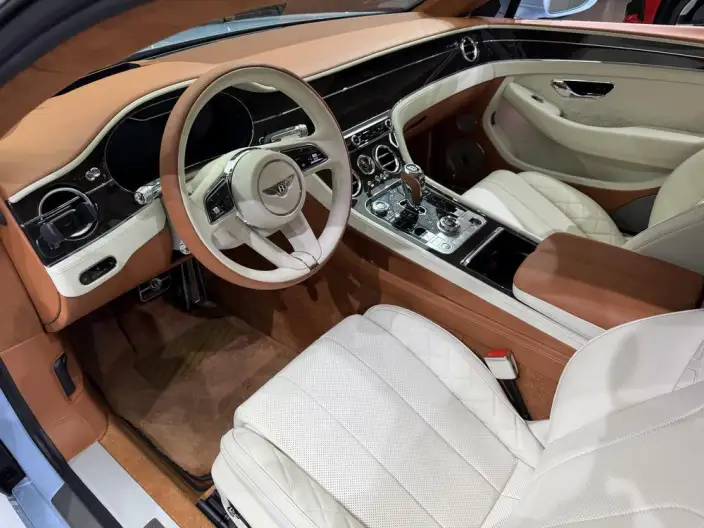 Continental 2022 Model 4.0T GT V8 – фото 8