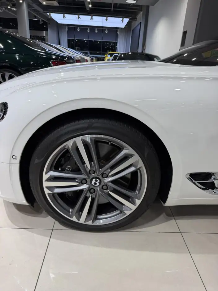 Continental 2024 Model 4.0T GT V8 – фото 5