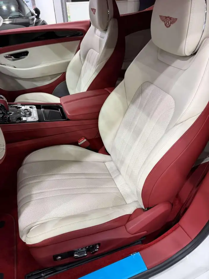 Continental 2024 Model 4.0T GT V8 – фото 7