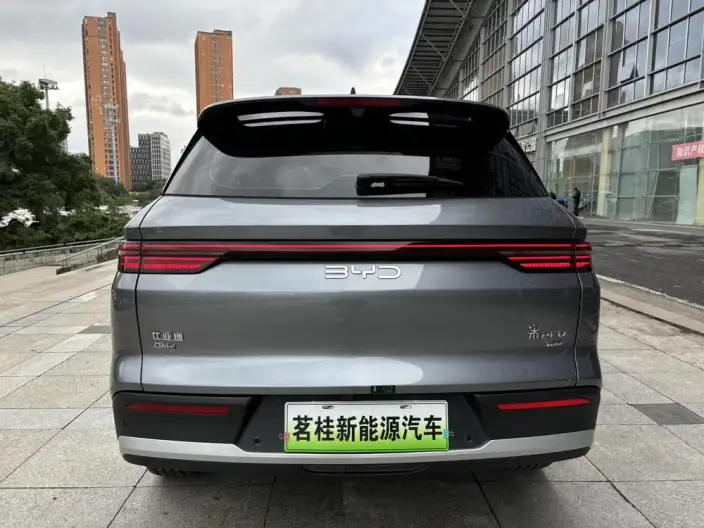 BYD Song Pro DM 2025 Model Second generation Smart Driving Edition DM-i 75KM Leading Model – фото 6