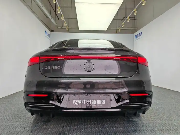 Mercedes-Benz EQS 2022 Model EQS 450+ Deluxe Edition – фото 6