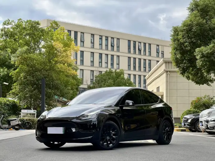 Model Y 2021 Model Standard Battery Life Rear-wheel drive version – фото 1