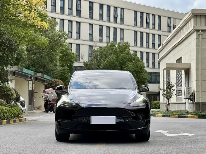 Model Y 2021 Model Standard Battery Life Rear-wheel drive version – фото 2
