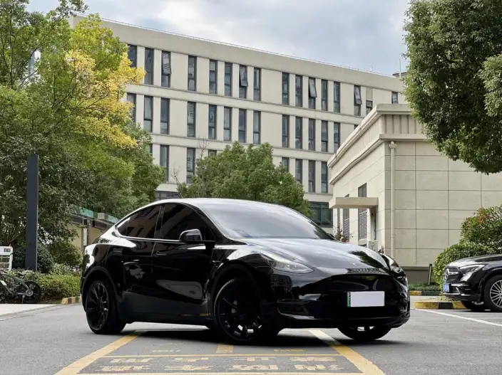 Model Y 2021 Model Standard Battery Life Rear-wheel drive version – фото 3