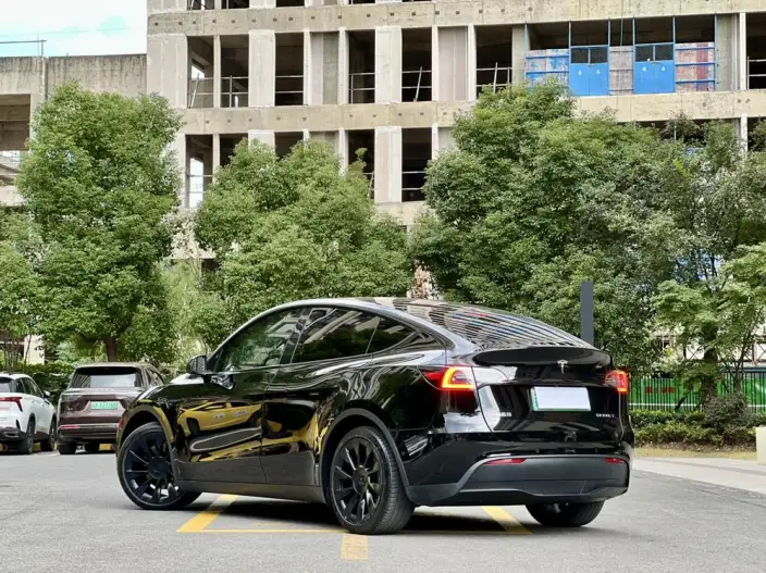Model Y 2021 Model Standard Battery Life Rear-wheel drive version – фото 4