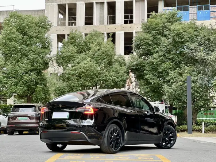 Model Y 2021 Model Standard Battery Life Rear-wheel drive version – фото 5