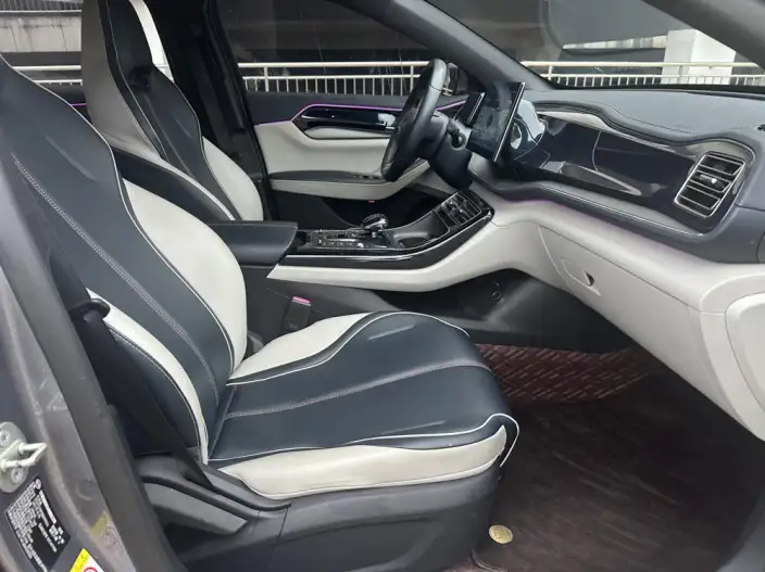 BYD Qin PLUS DM 2021 Model DM-i 55KM Noble Model – фото 10