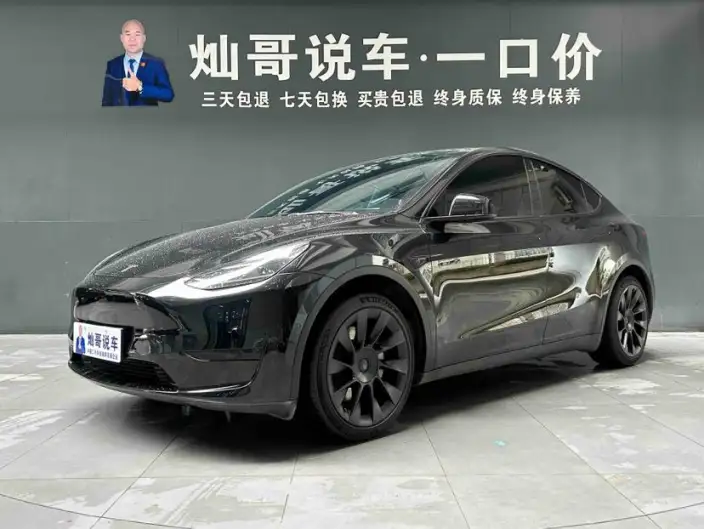 Model Y 2022 Model Rear-wheel drive version – фото 1