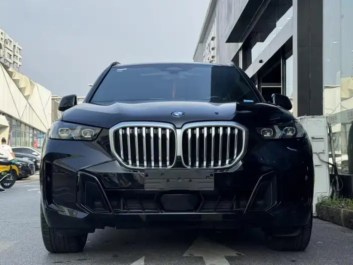 BMW X5 2023 Model xDrive40Li M Sports Night Set – фото 2