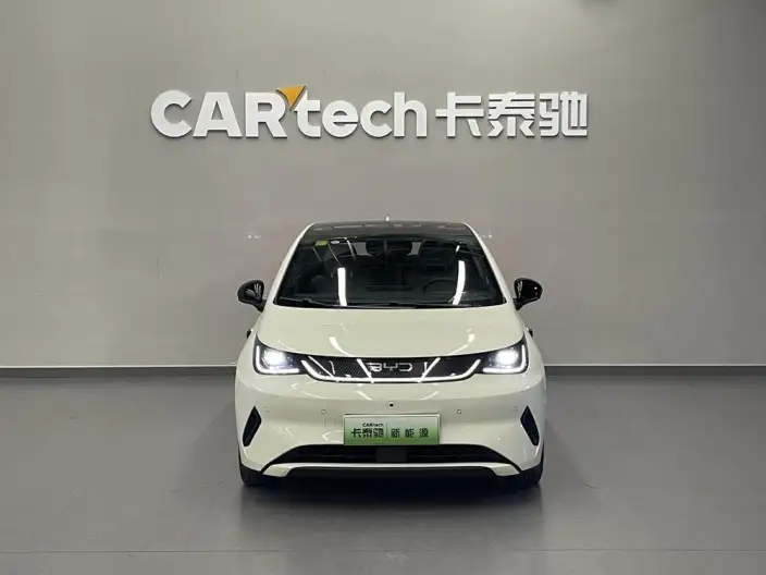 BYD Dolphin 2025 Model Smart Driving Edition 410KM Fashion Edition – фото 2