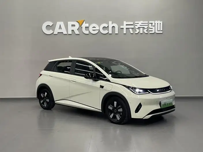BYD Dolphin 2025 Model Smart Driving Edition 410KM Fashion Edition – фото 3