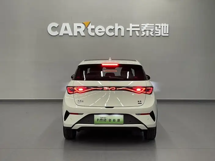 BYD Dolphin 2025 Model Smart Driving Edition 410KM Fashion Edition – фото 6