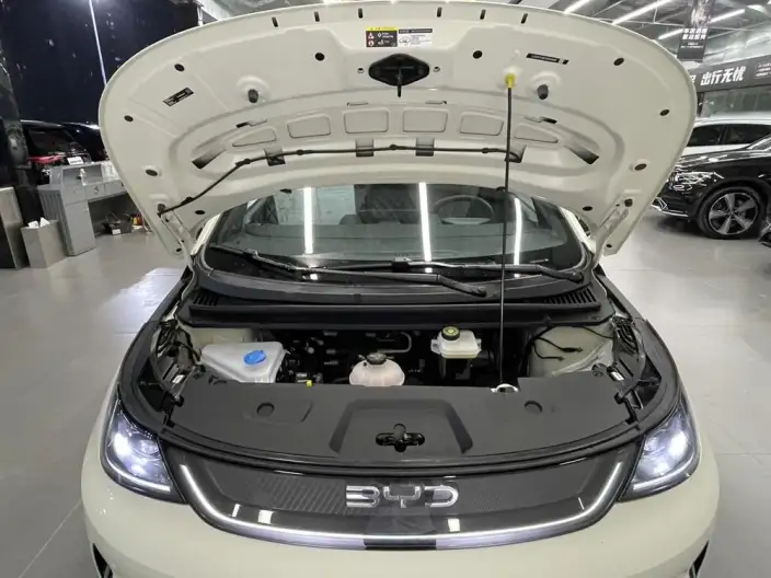 BYD Dolphin 2025 Model Smart Driving Edition 410KM Fashion Edition – фото 9