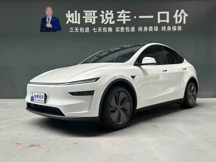 Model Y 2025 Model Rear-wheel drive version – фото 1
