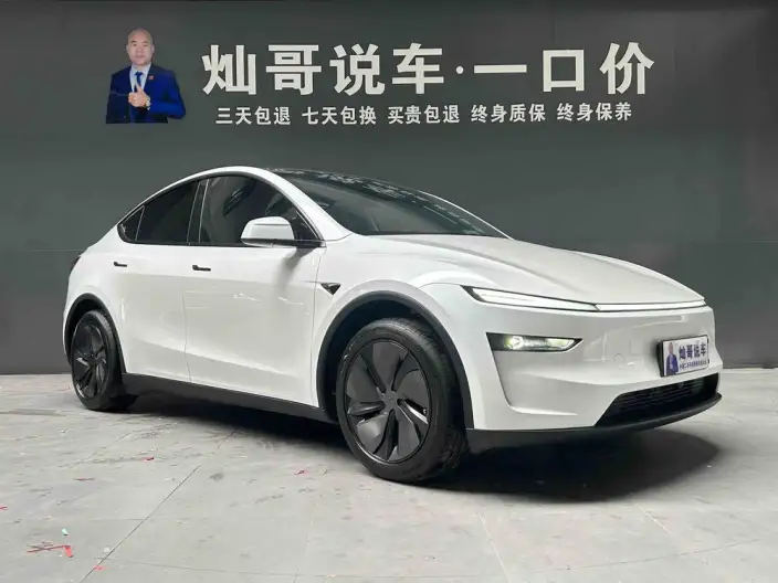 Model Y 2025 Model Rear-wheel drive version – фото 3
