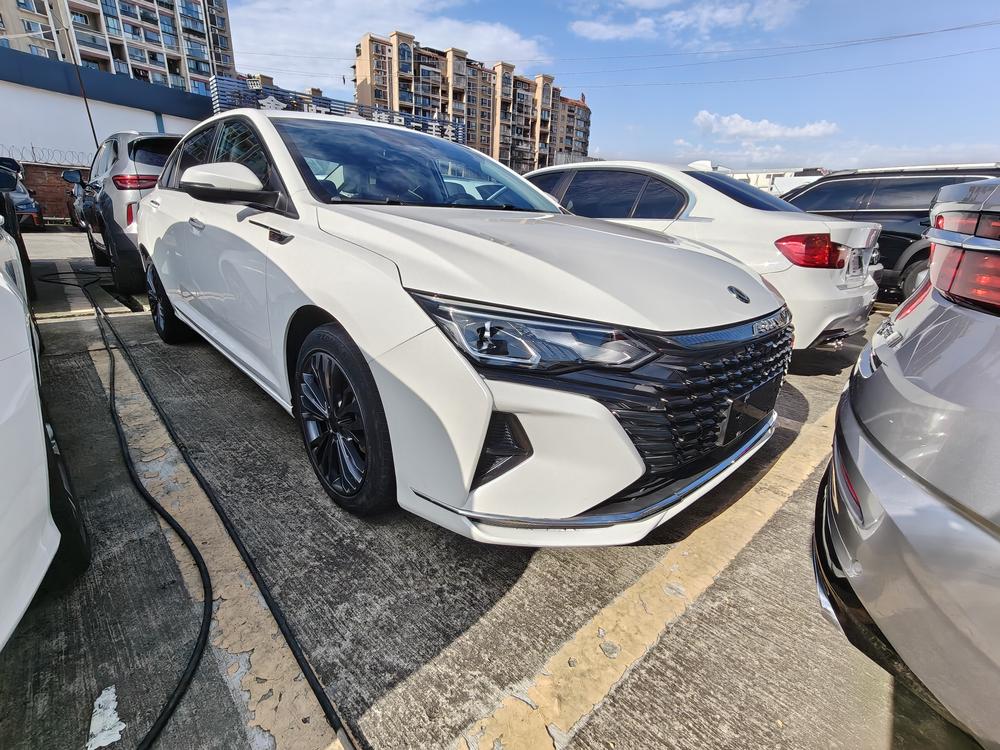 Yixuan MAX 2021 1.5T Super Capable Dad Edition – фото 2