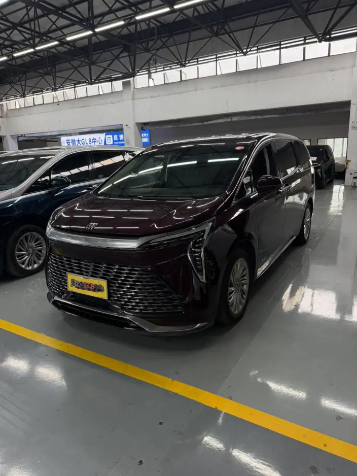 Century 2023 Model 2.0T VI seat Yunshi Edition – фото 1