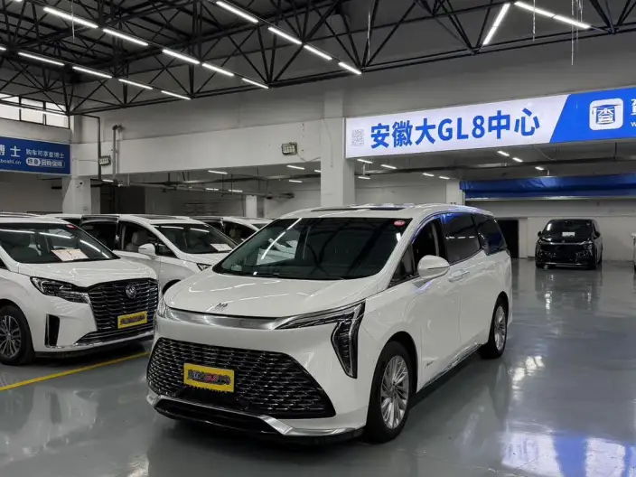 Century 2023 Model 2.0T VI seat Yunshi Edition – фото 1