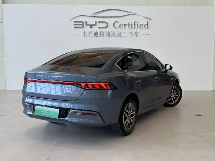 Qin Plus EV 2023 Model Champion Edition 420KM Leading Model – фото 5