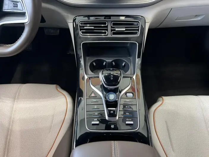 Qin Plus EV 2023 Model Champion Edition 420KM Leading Model – фото 7