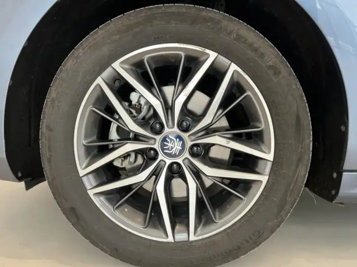 Qin Plus EV 2023 Model Champion Edition 420KM Leading Model – фото 8