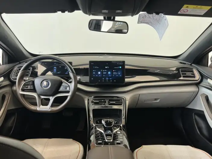 Qin Plus EV 2023 Model Champion Edition 420KM Leading Model – фото 9