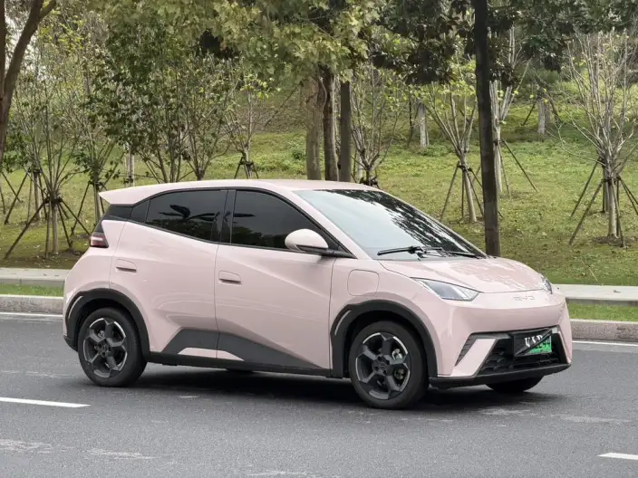 BYD Seagull 2023 Model Vitality Edition – фото 3