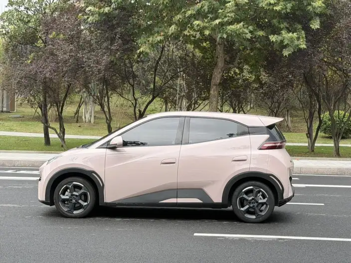 BYD Seagull 2023 Model Vitality Edition – фото 4
