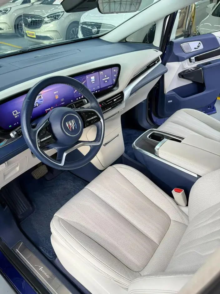 Century 2023 Model 2.0T VI seat Yunshi Edition – фото 8