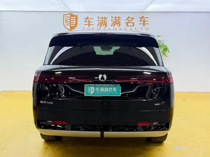 DENZA N9 DM 2025 Model Flagship Model